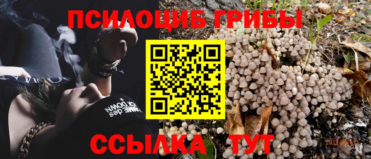 Галлюциногенные грибы мицелий Керчь